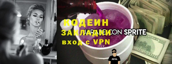 индика Балахна