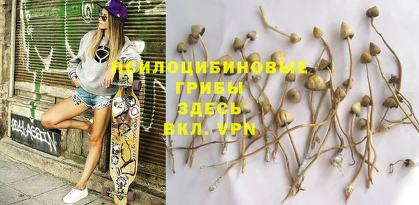 индика Балахна