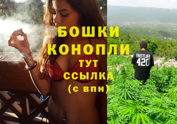 индика Балахна