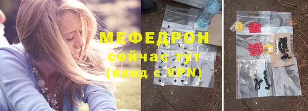 индика Балахна