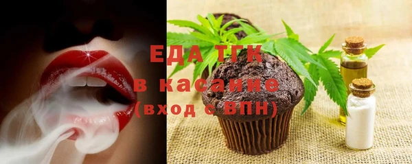 индика Балахна