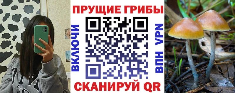 Псилоцибиновые грибы MAGIC MUSHROOMS  Кудрово 